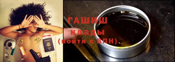 дмт Елизово