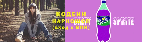 дмт Елизово