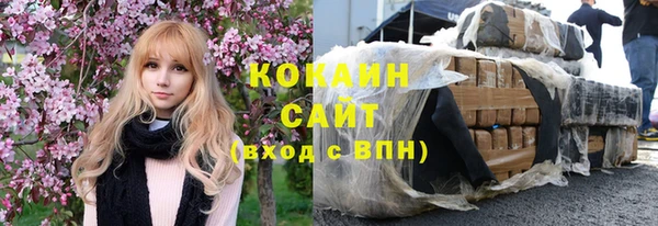 дмт Елизово