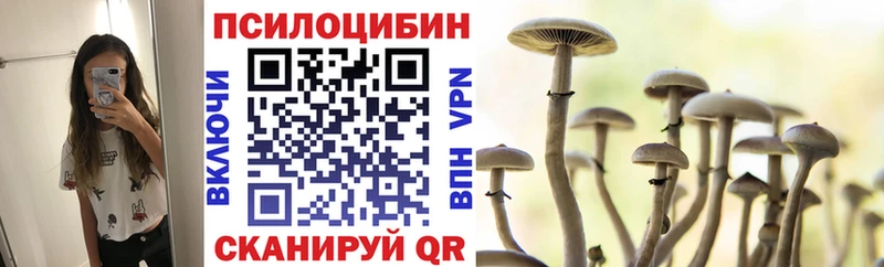 Галлюциногенные грибы MAGIC MUSHROOMS  Купить закладки  Камызяк 