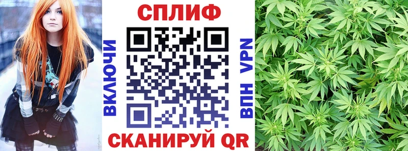 Бошки Шишки THC 21%  Купить закладки  Камызяк 